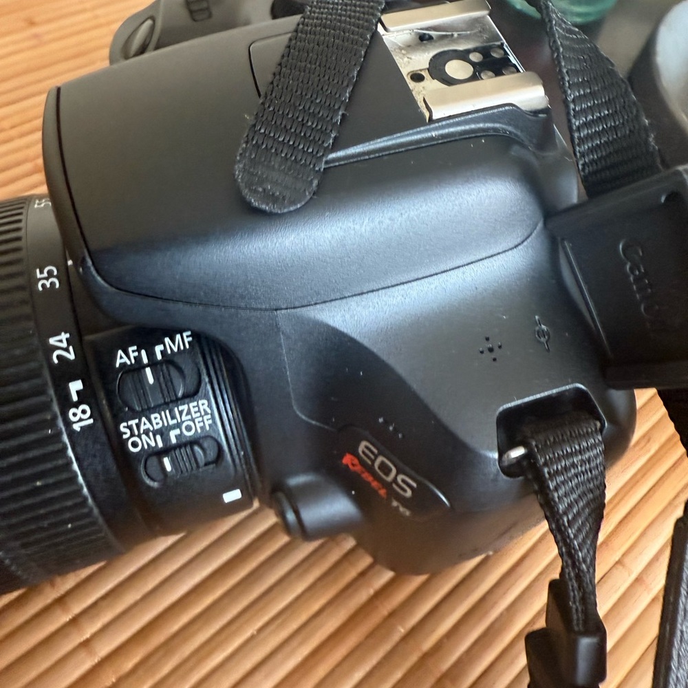 Canon EOS Black Digital Camera